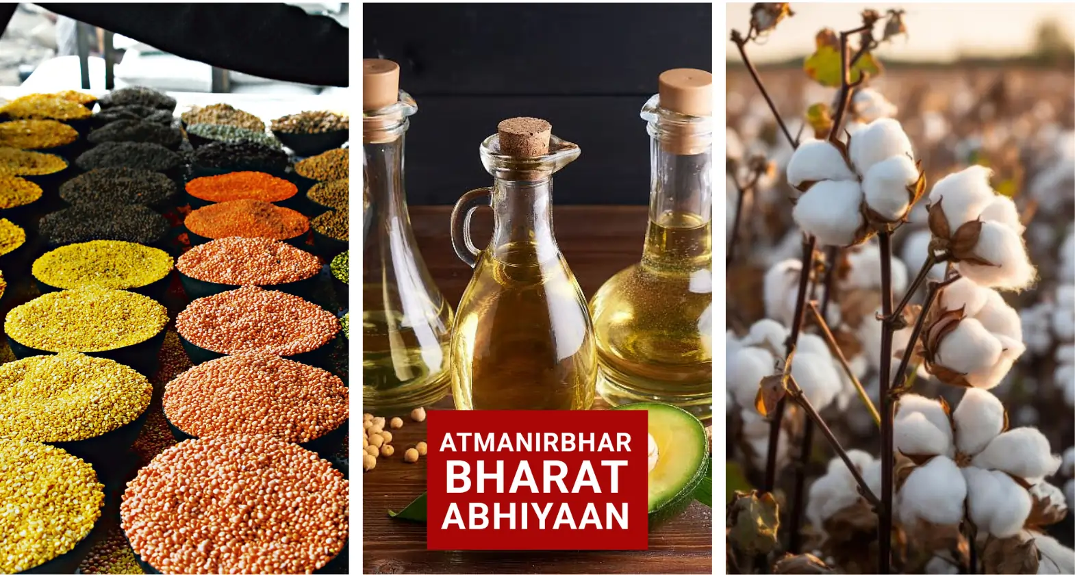 atmanirbhar bharat