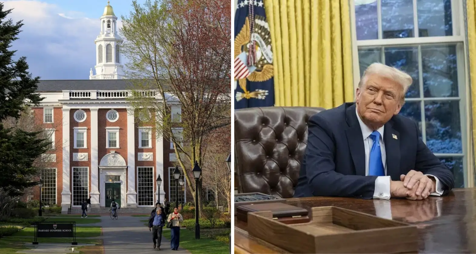 harvard trump header