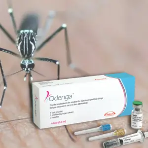 qdenga dengue vacciene