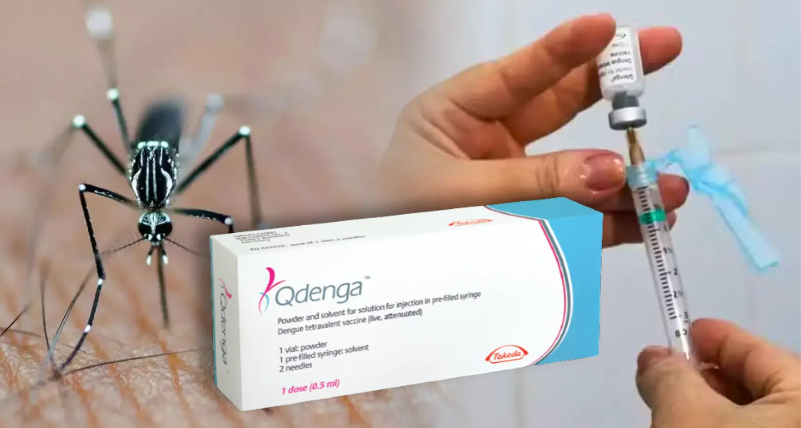 qdenga dengue vacciene