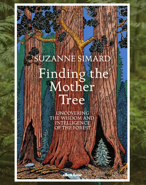 finding the mother tree