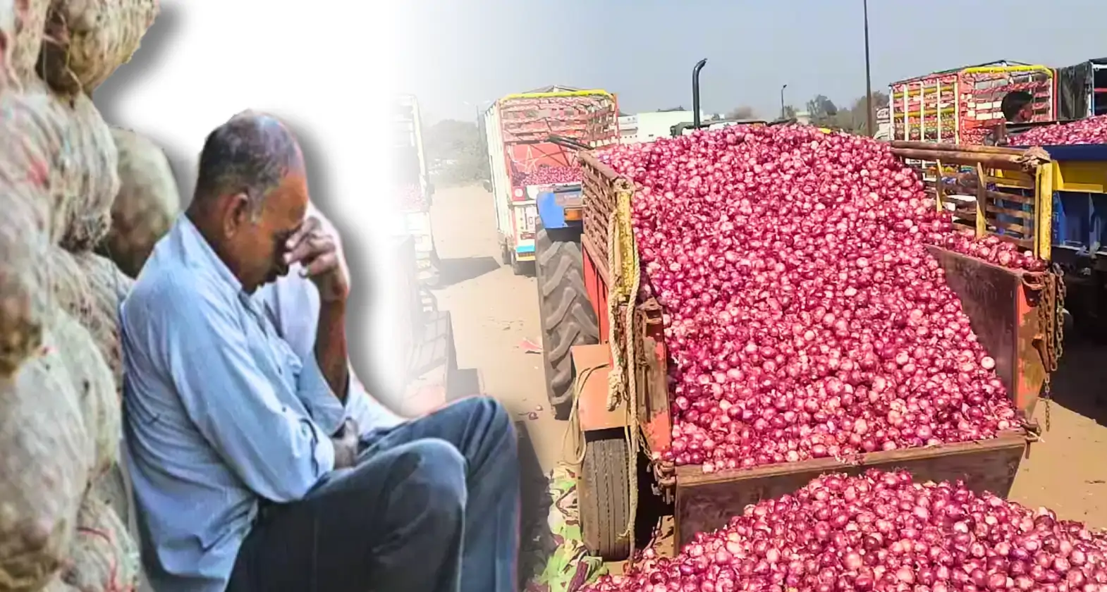 onion farming loss in maharashtra