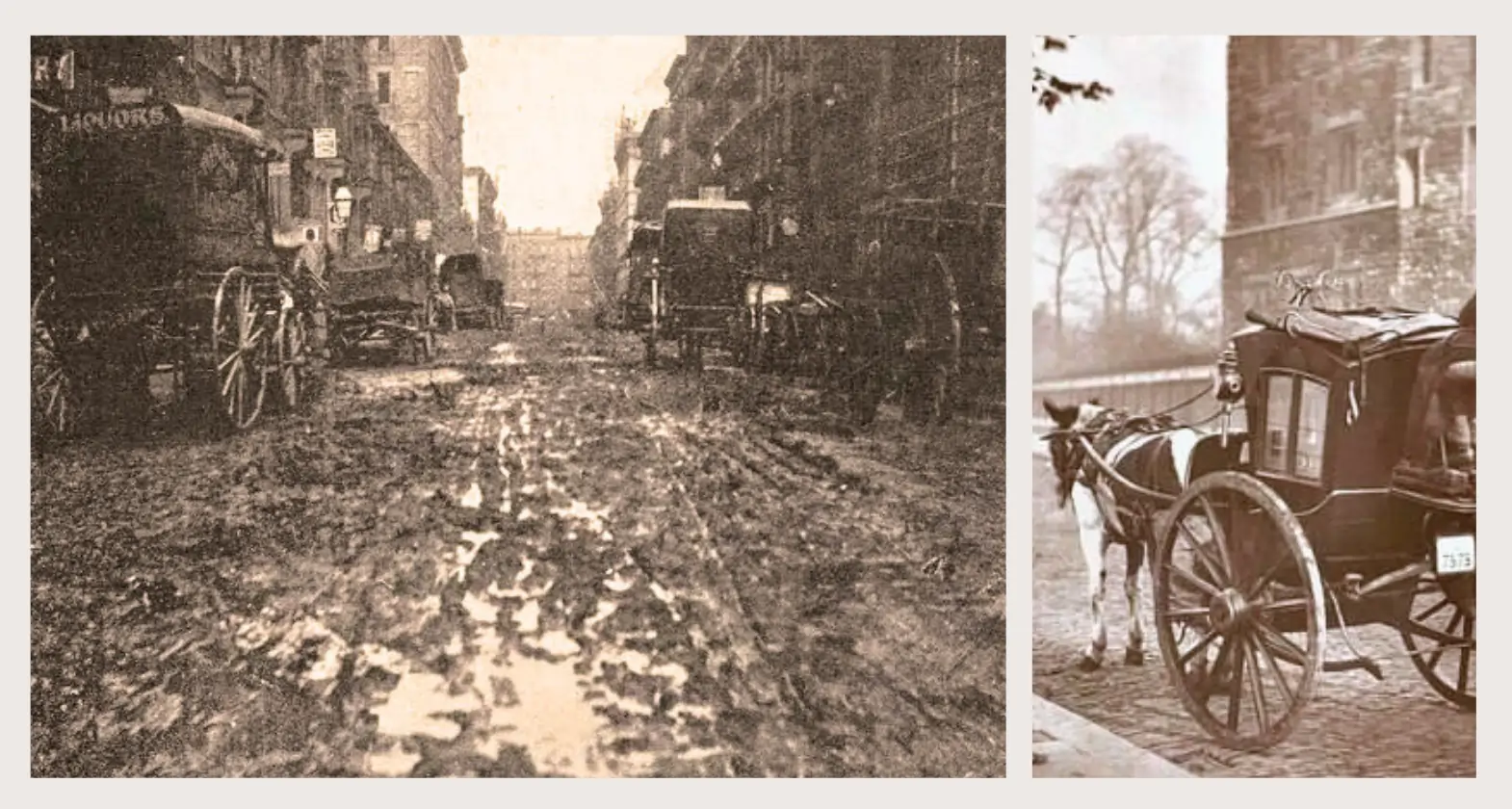 horse manure problem