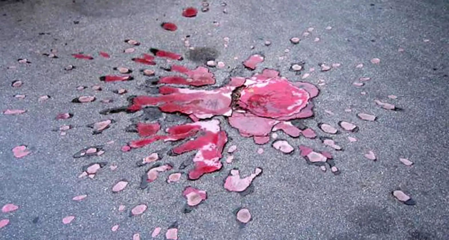 rose of sarajevo