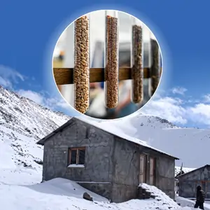 seed vault