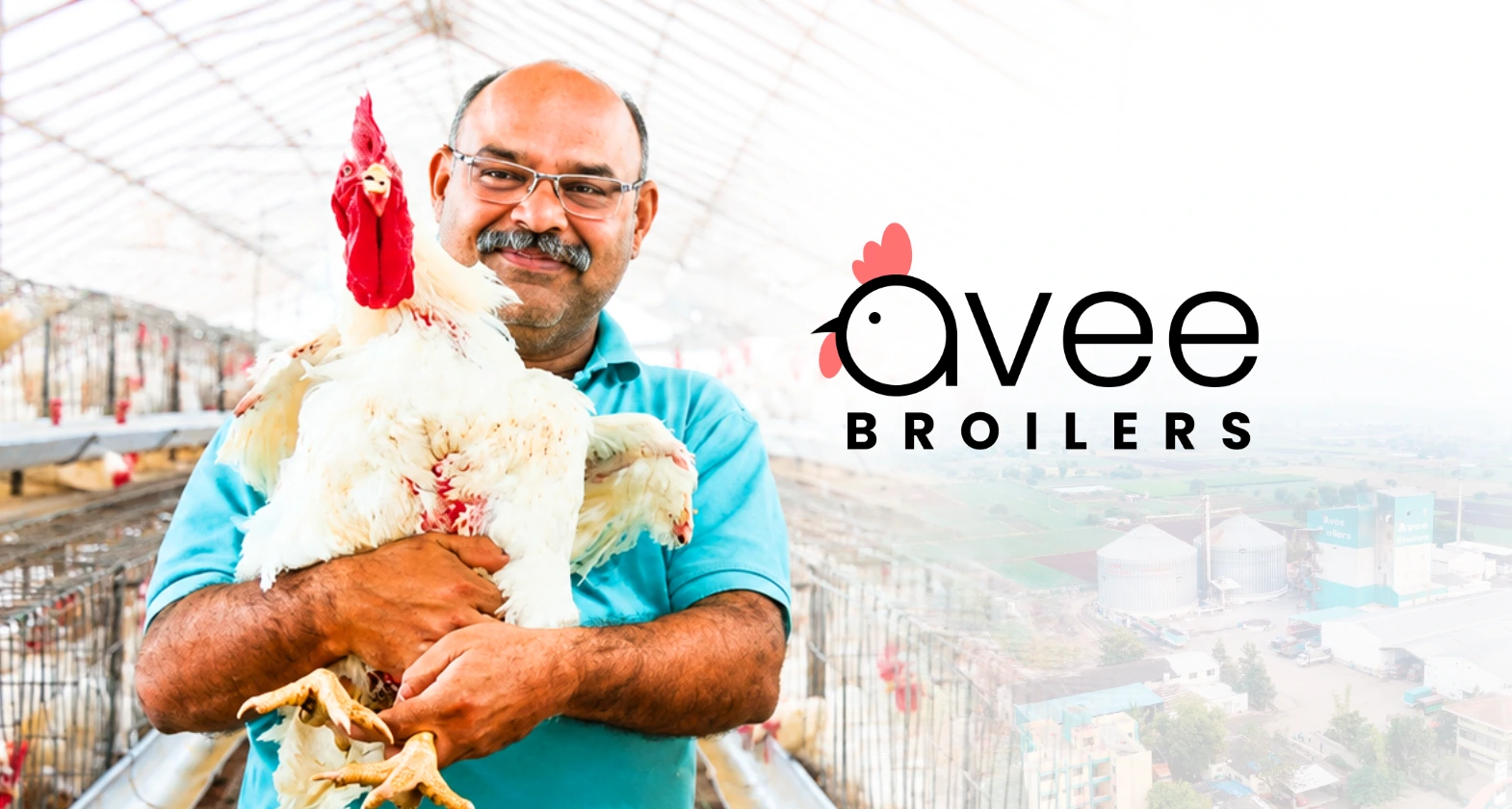 aveebroilers