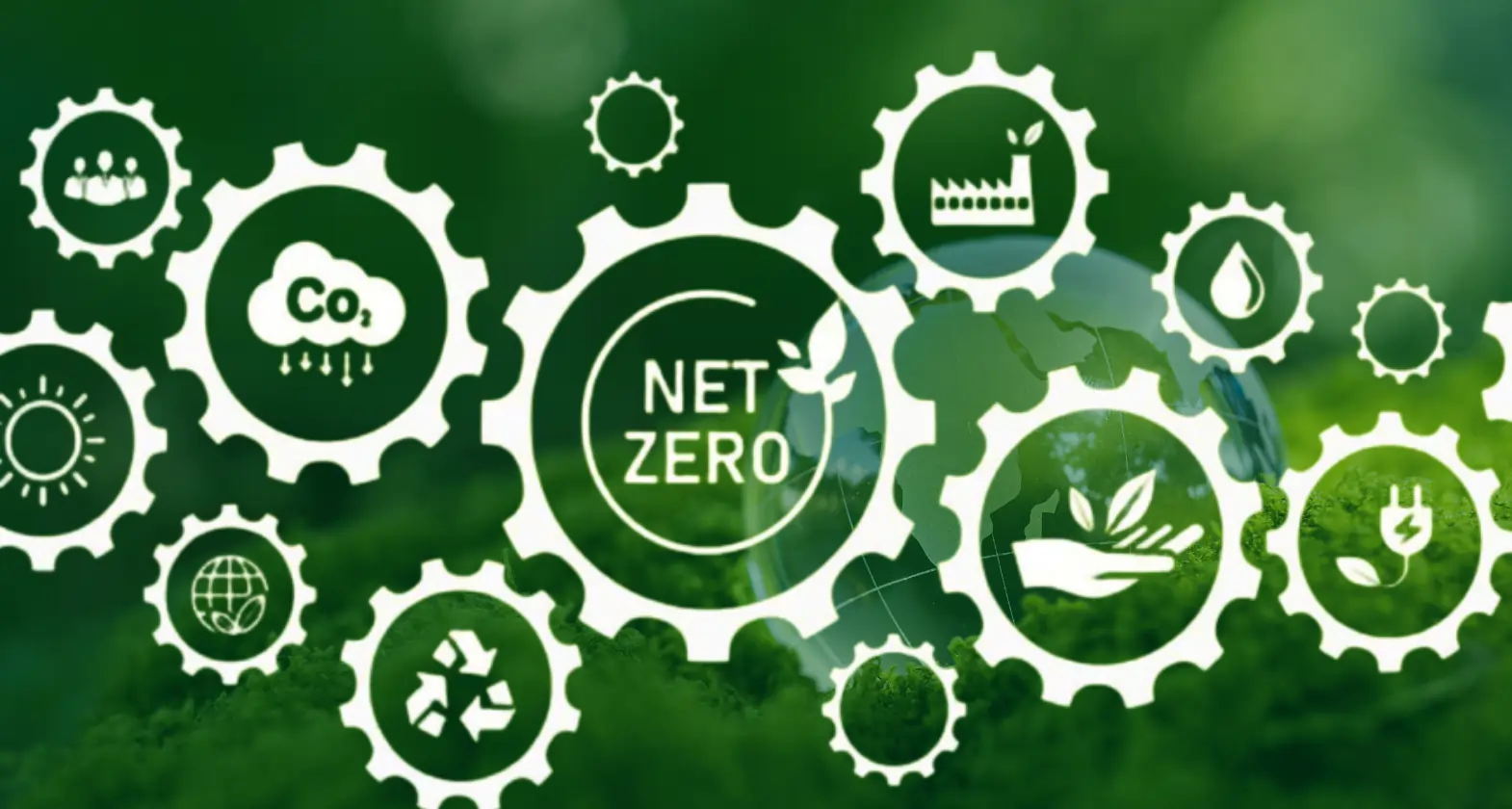 net zero