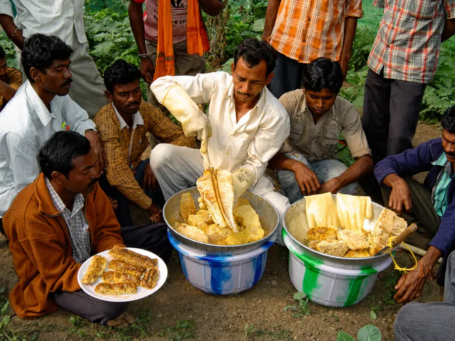 dr gopal paliwal