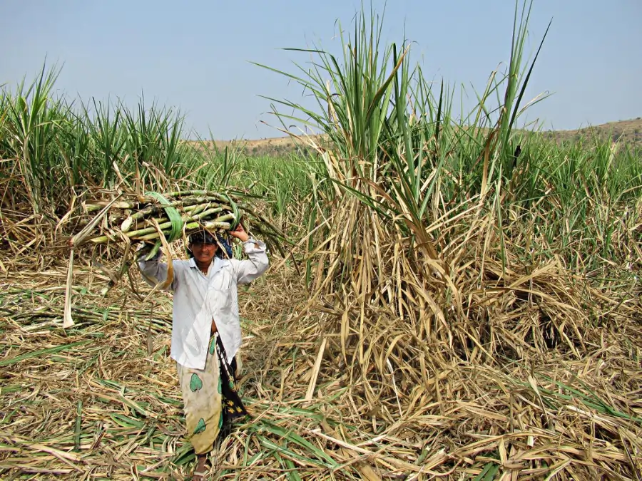 bonded labour