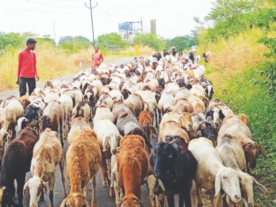 bonded labour