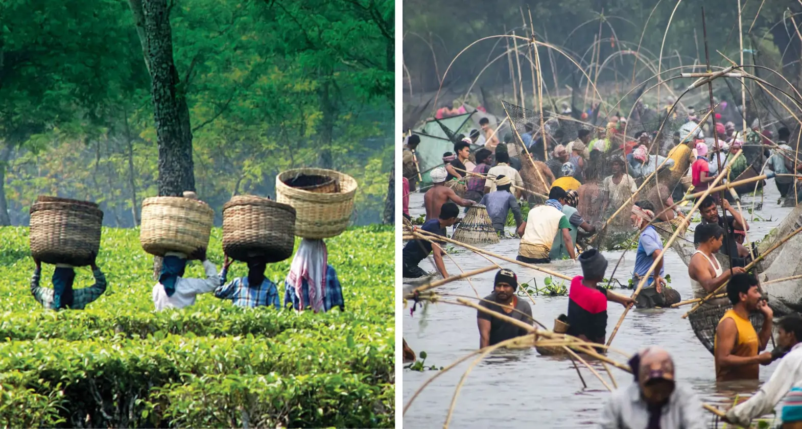 assam