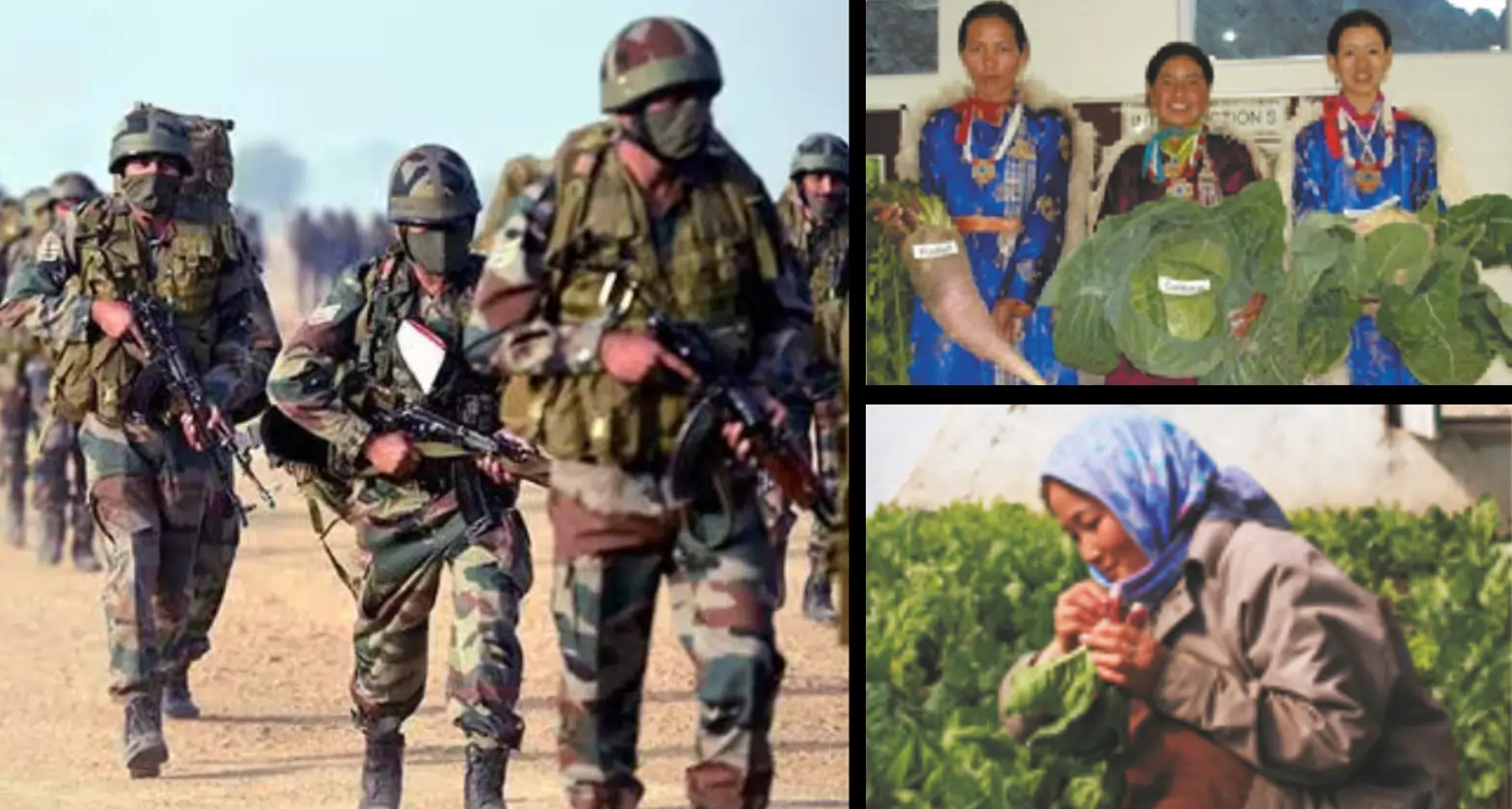 jai jawan