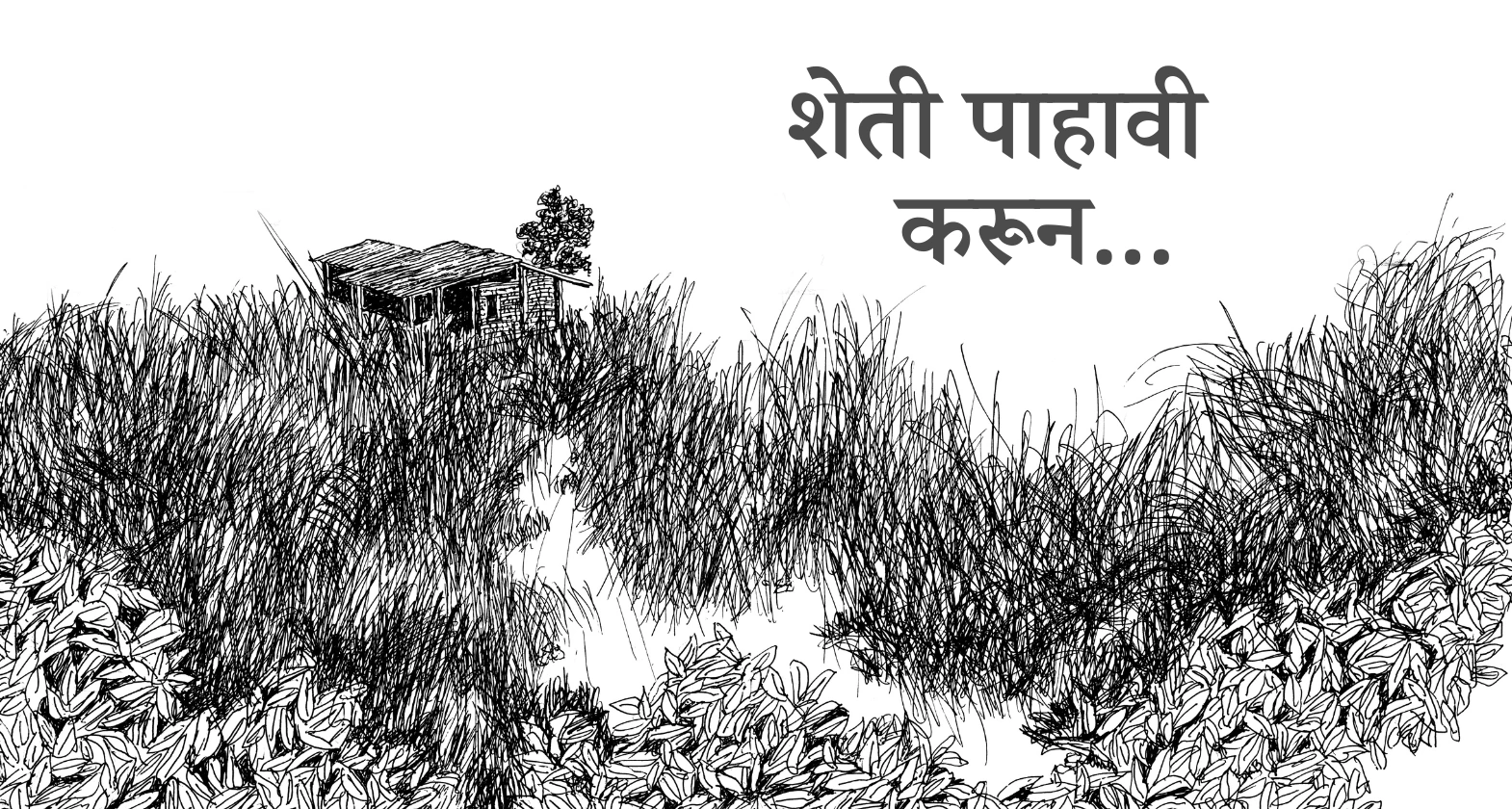 shrinivas pandit farm